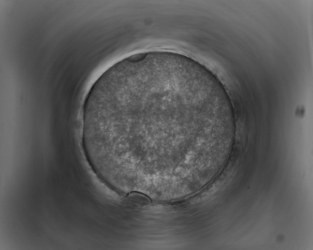 X0000102041520200808081823