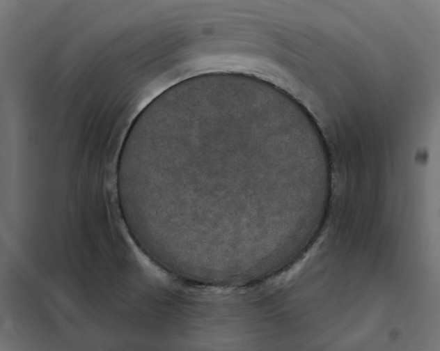 X0000102041521200808081823