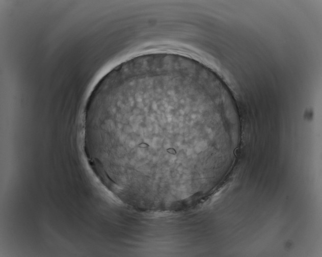 X0000102041522200808081823