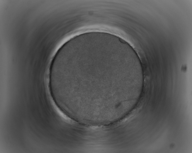 X0000102041523200808081823