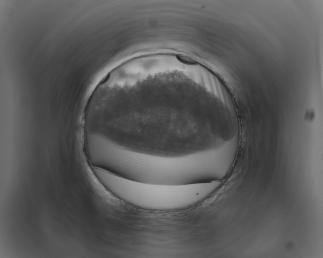 X0000102041524200808081823