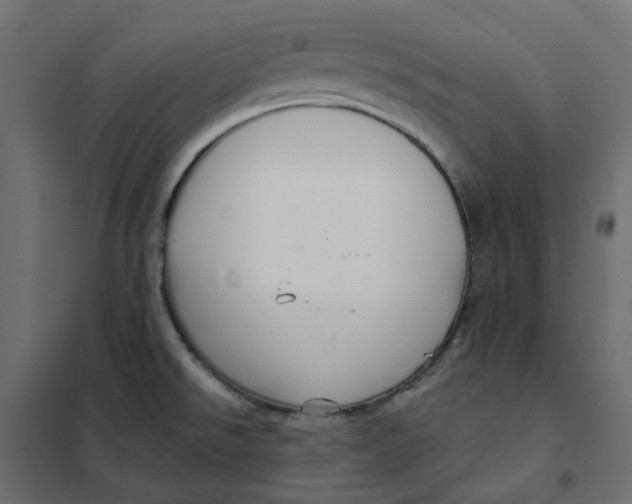 X0000102041526200808081823