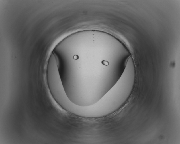 X0000102041528200808081823