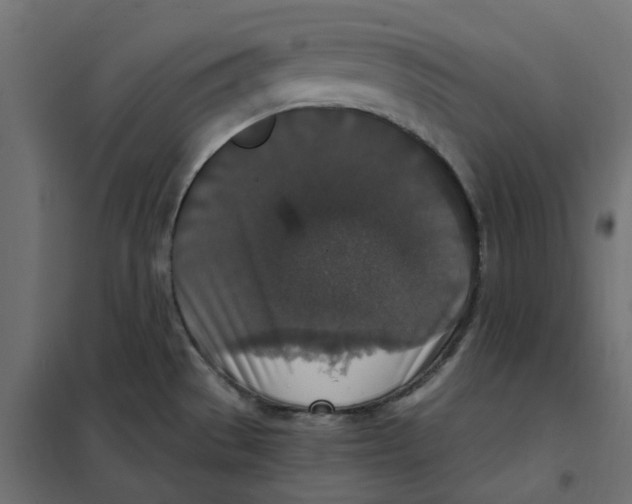 X0000102041529200808081823