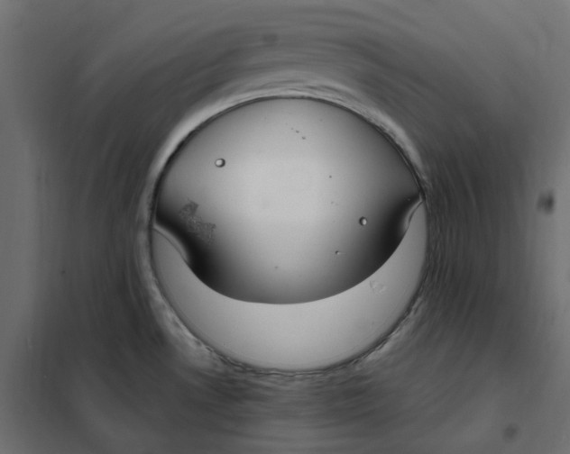 X0000102041530200808081823