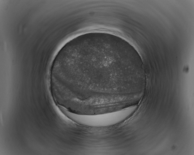 X0000102041531200808081823