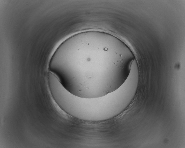 X0000102041532200808081823