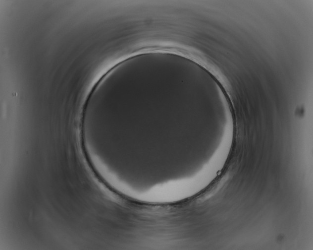 X0000102041533200808081823