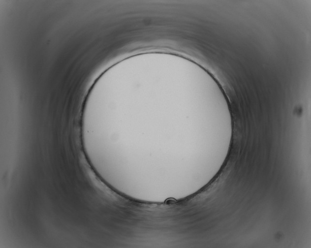 X0000102041534200808081823