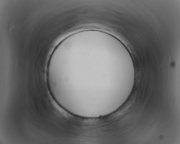 X0000102041535200808081823