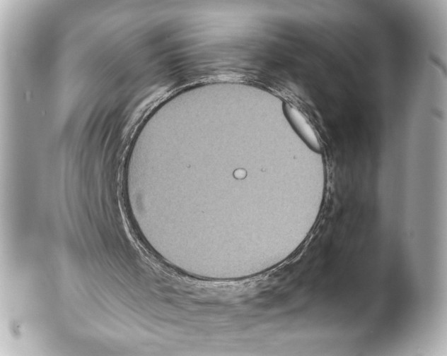 X0000102040001200808151417