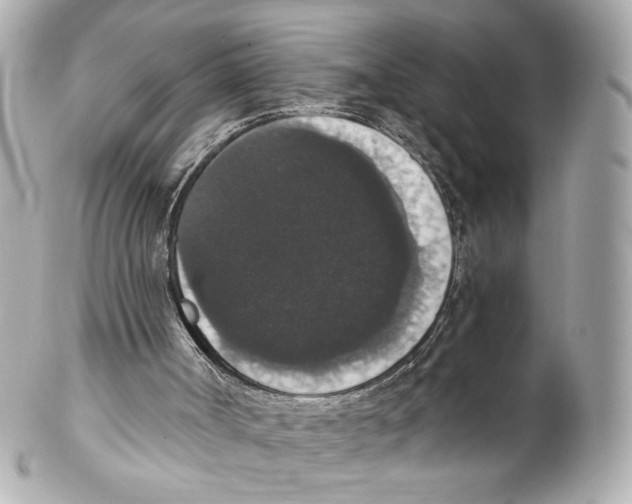 X0000102040002200808151417