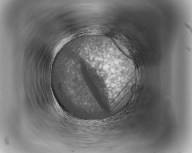 X0000102040003200808151417