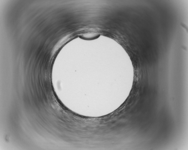 X0000102040004200808151417