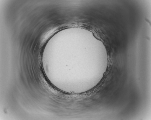 X0000102040005200808151417