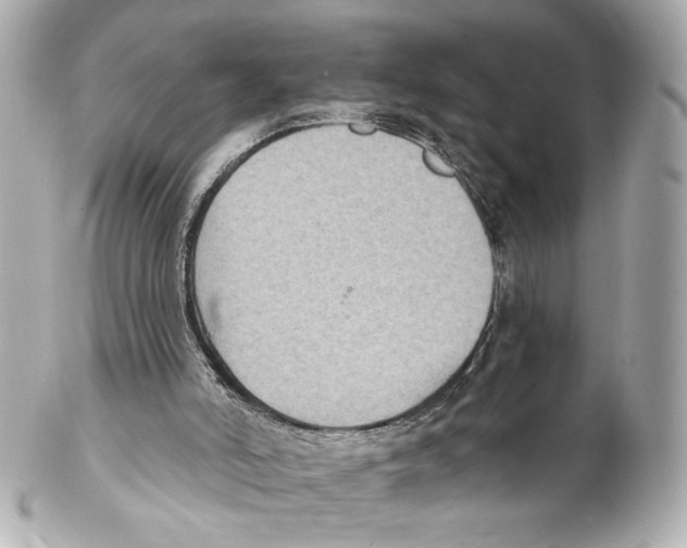 X0000102040006200808151417