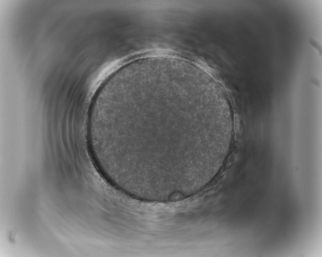 X0000102040007200808151417