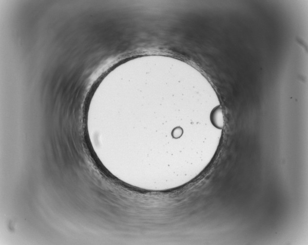 X0000102040008200808151417