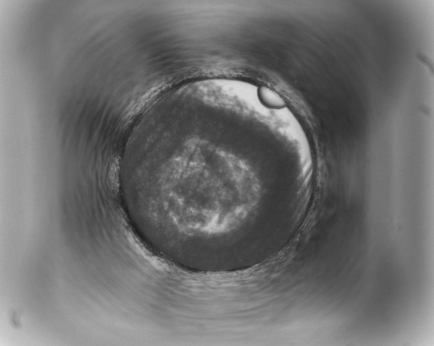 X0000102040009200808151417