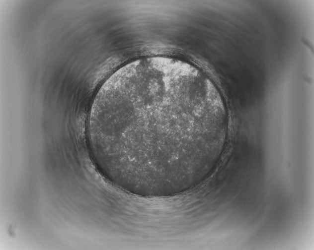 X0000102040010200808151417