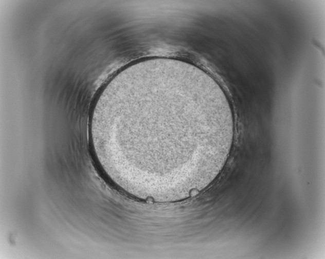 X0000102040011200808151417