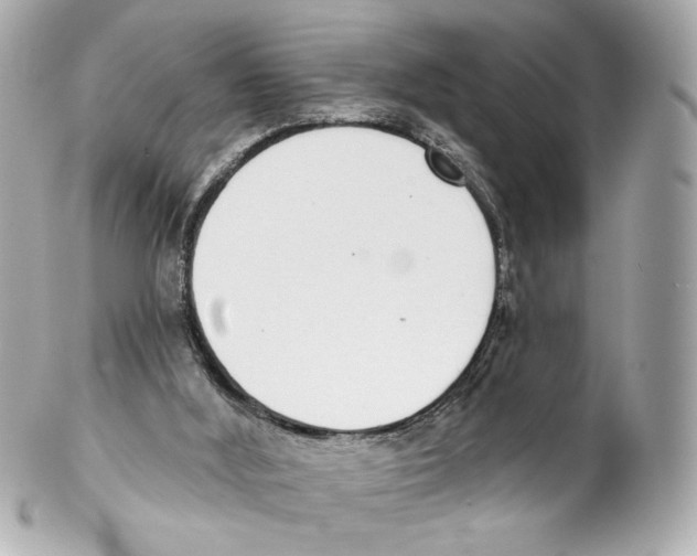 X0000102040012200808151417