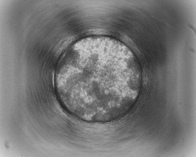 X0000102040014200808151417