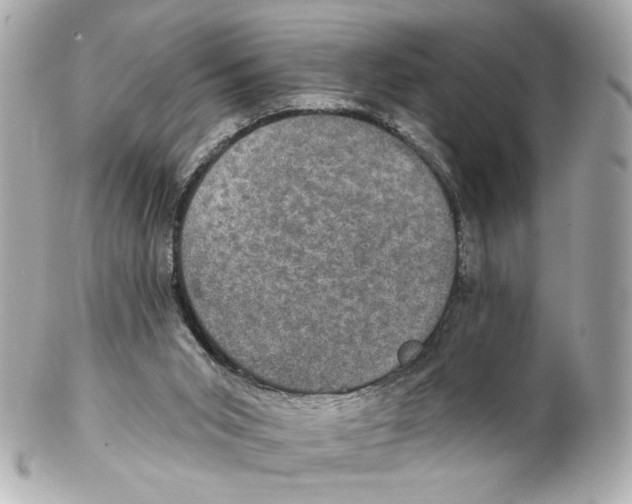 X0000102040015200808151417