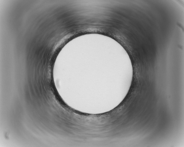 X0000102040016200808151417