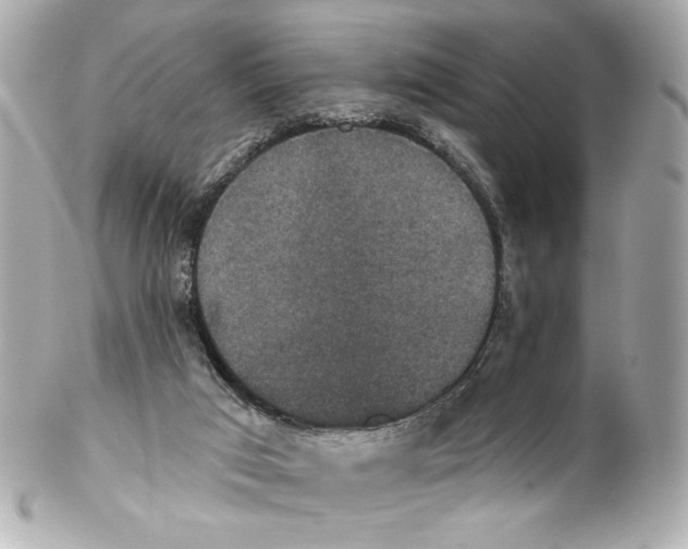 X0000102040017200808151417
