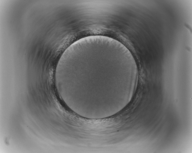 X0000102040018200808151417