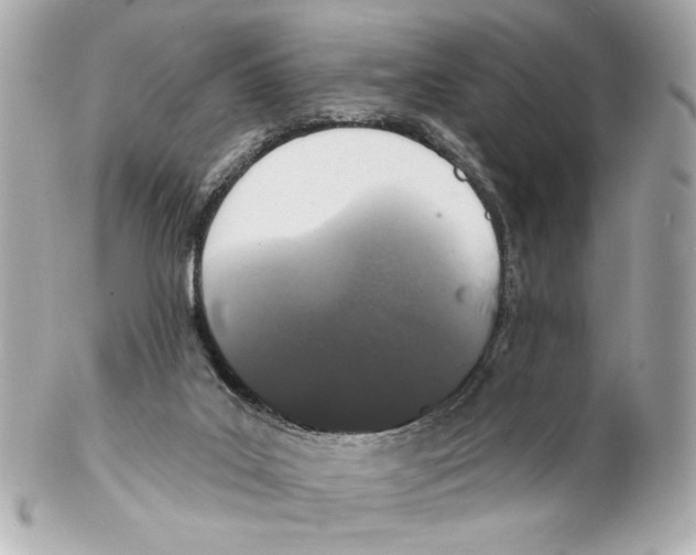 X0000102040019200808151417