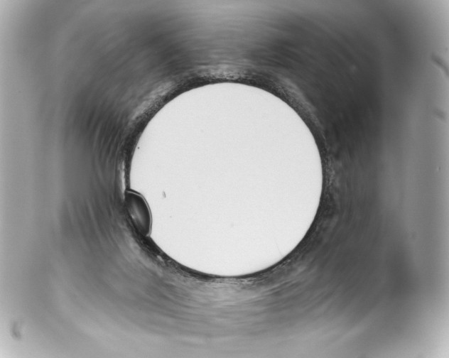 X0000102040020200808151417