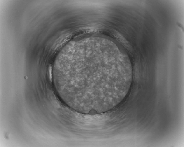 X0000102040022200808151417