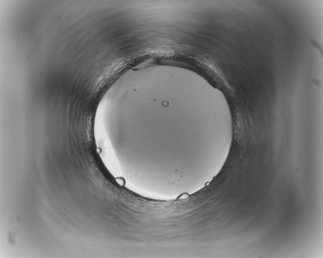 X0000102040023200808151417