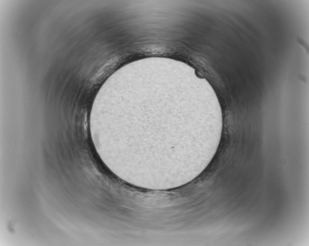 X0000102040024200808151417