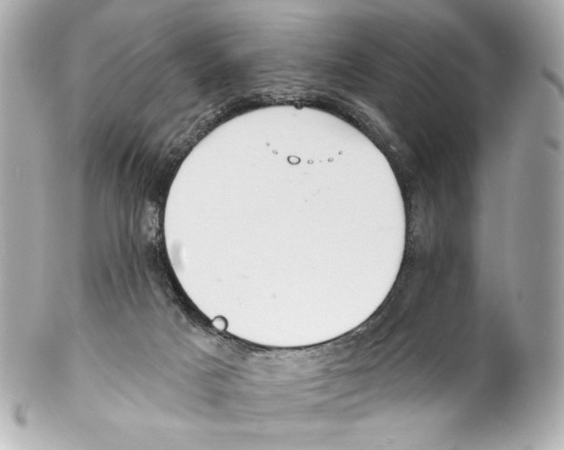 X0000102040025200808151417