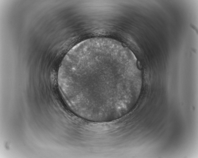 X0000102040029200808151417