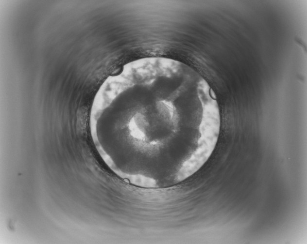 X0000102040030200808151417