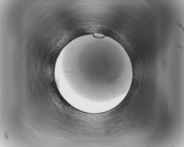 X0000102040031200808151416