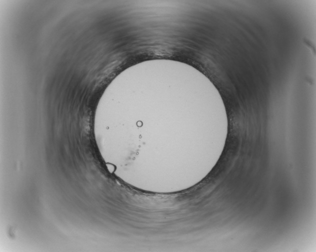 X0000102040032200808151416
