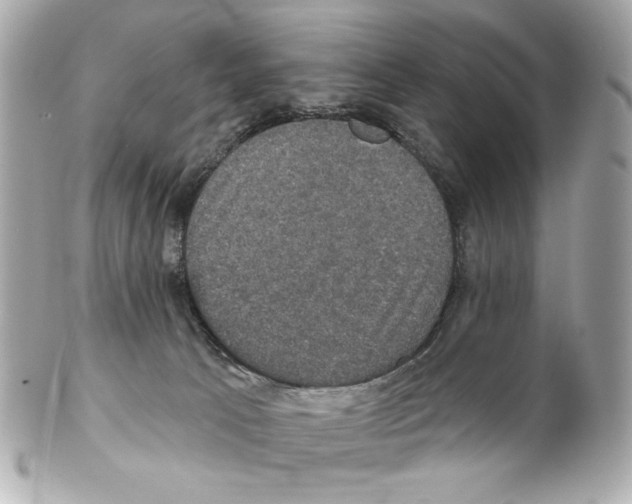 X0000102040033200808151416