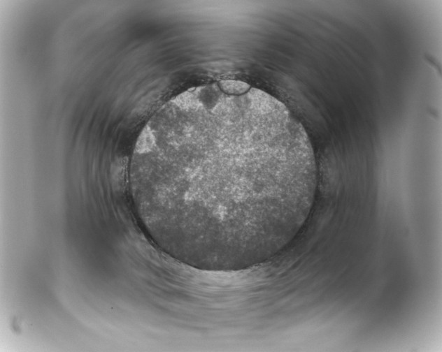 X0000102040034200808151416