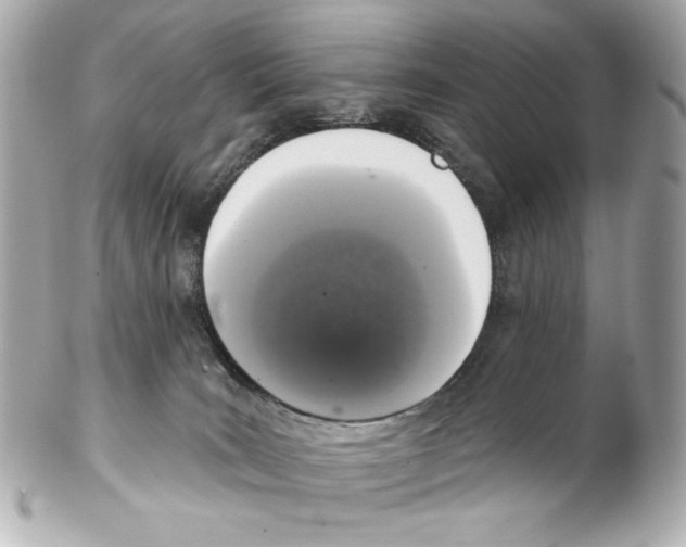 X0000102040035200808151416
