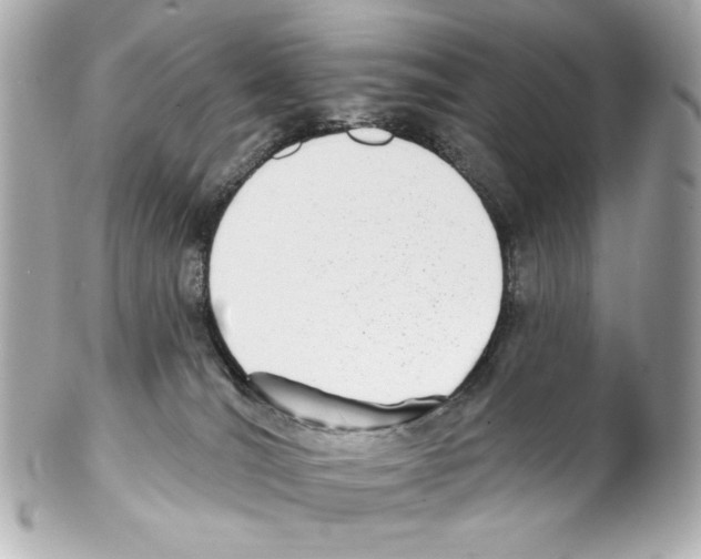 X0000102040036200808151416