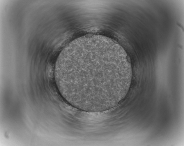 X0000102040037200808151416