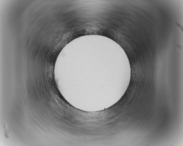 X0000102040038200808151416