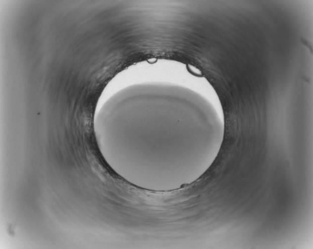 X0000102040039200808151416