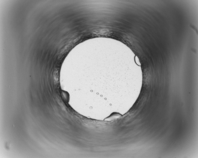 X0000102040040200808151416