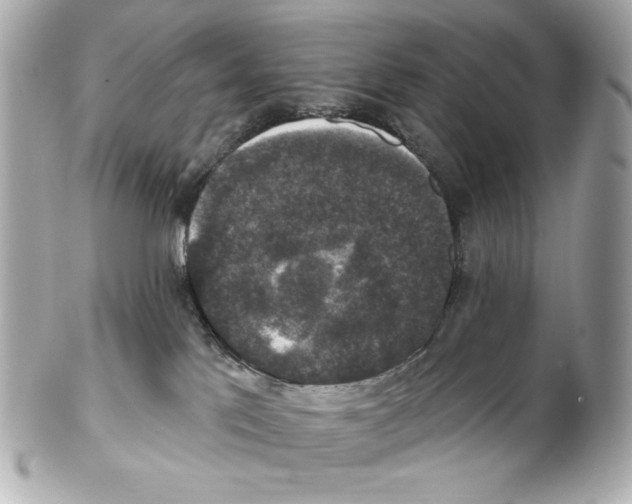 X0000102040041200808151416